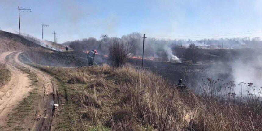 На Вінниччині за добу ліквідовано 19 пожеж в екосистемах