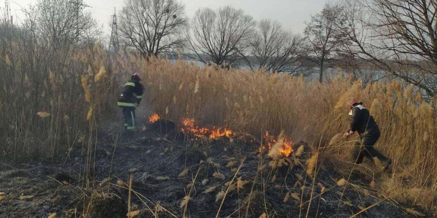 На Вінниччині пожежники за добу ліквідовали 28 пожеж сухої рослинності