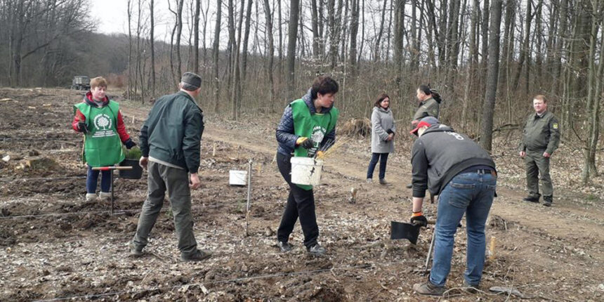 Лісівники Вінниччини створюють посухостійкі ліси