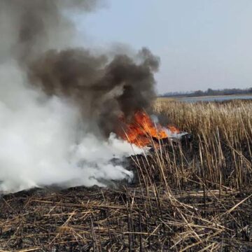 Вінницька область: рятувальниками ліквідовано 27 пожеж в екосистемах