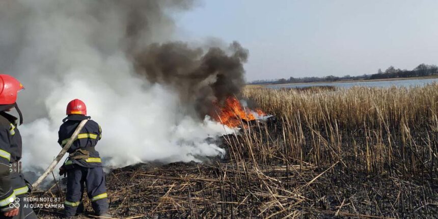 Вінницька область: рятувальниками ліквідовано 27 пожеж в екосистемах