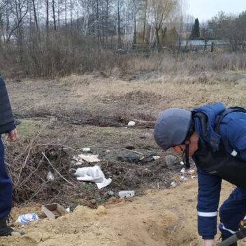 На Вінниччині сапери знищили три мінометні міни та ще 70 мін виявили додатково
