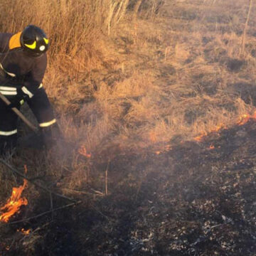 На Вінниччині за добу рятувальники ліквідовали 9 пожеж сухостоїв