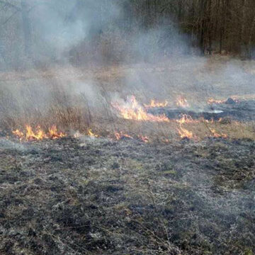 У Літинському районі екологи оштрафували порушника, який спалював сухостої