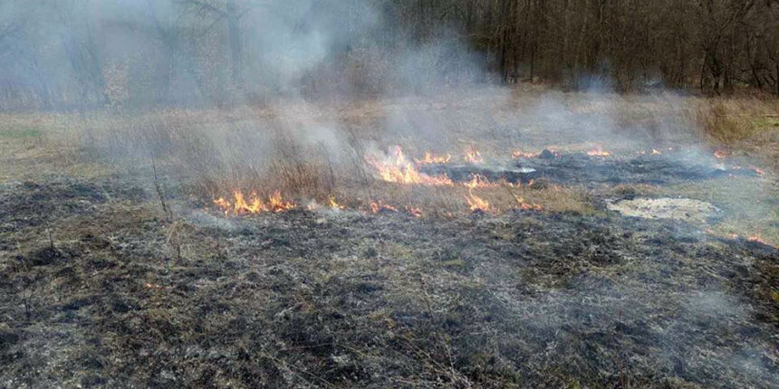 У Літинському районі екологи оштрафували порушника, який спалював сухостої
