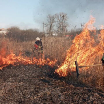 На Вінниччині за минулу добу ліквідовано 35 пожеж в екосистемах