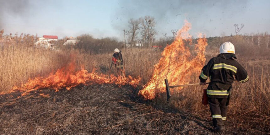 На Вінниччині за минулу добу ліквідовано 35 пожеж в екосистемах