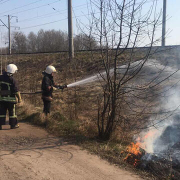 На Вінниччині за минулу добу ліквідовано 43 пожежі в екосистемах