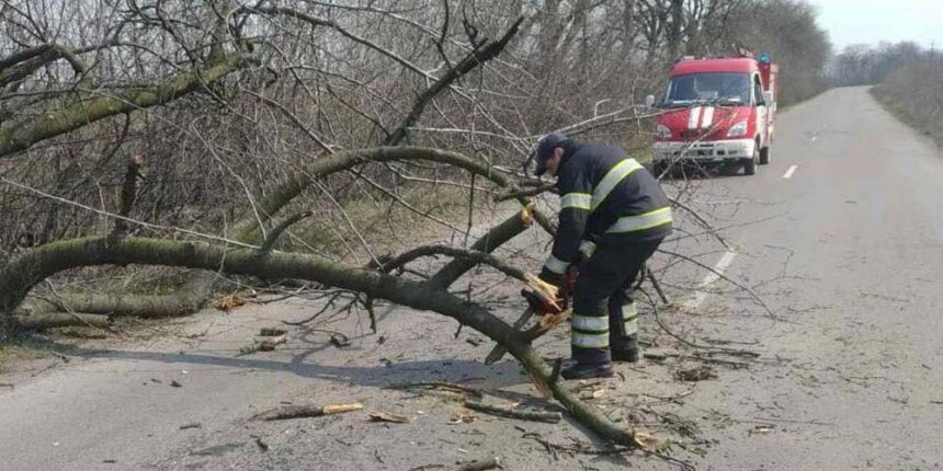 У теплицькому районі рятувальники розкряжували повалене вітром дерево