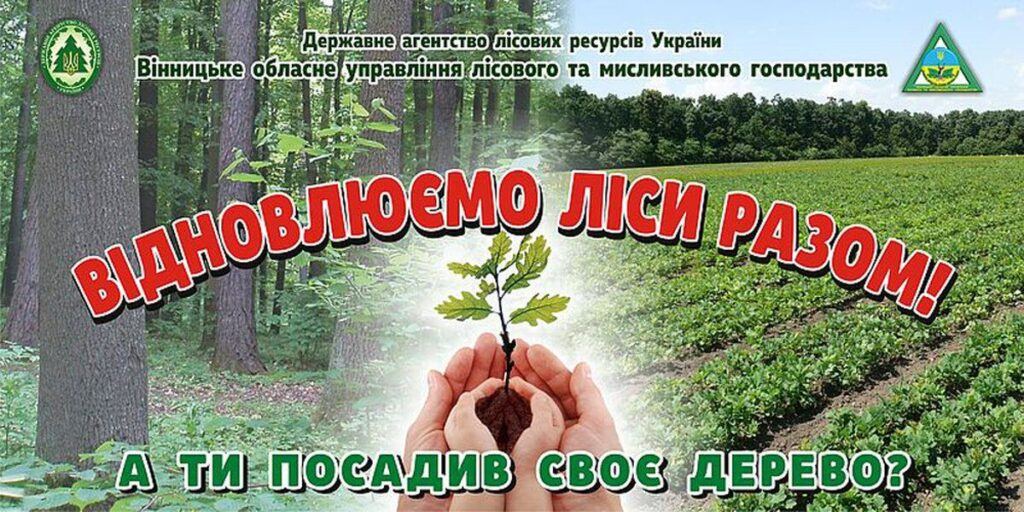 На Вінниччині лісівники вже засадили сажанців на 130 га майбутніх лісів