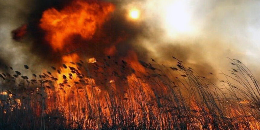 Під Баром так горіли трава та очерет, що чорні хмари сховали сонце