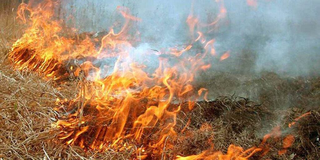 На Вінниччині нову горить трава за добу ліквідовано чотири пожежі