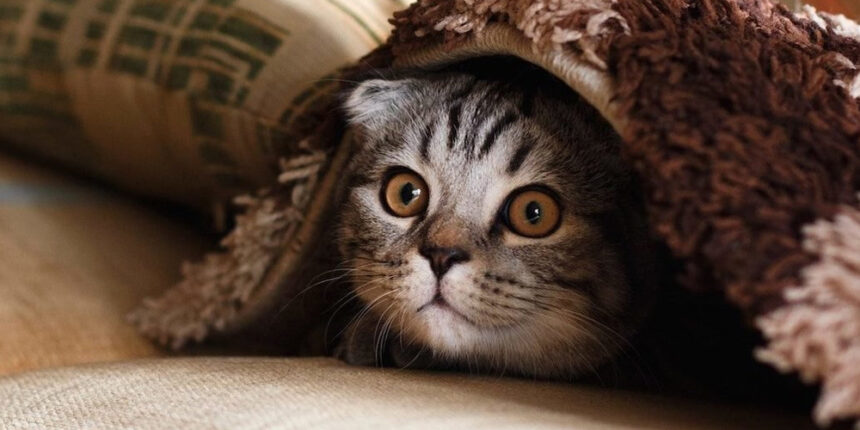 На Вінниччину насувається похолодання - попереду дві морозяні ночі