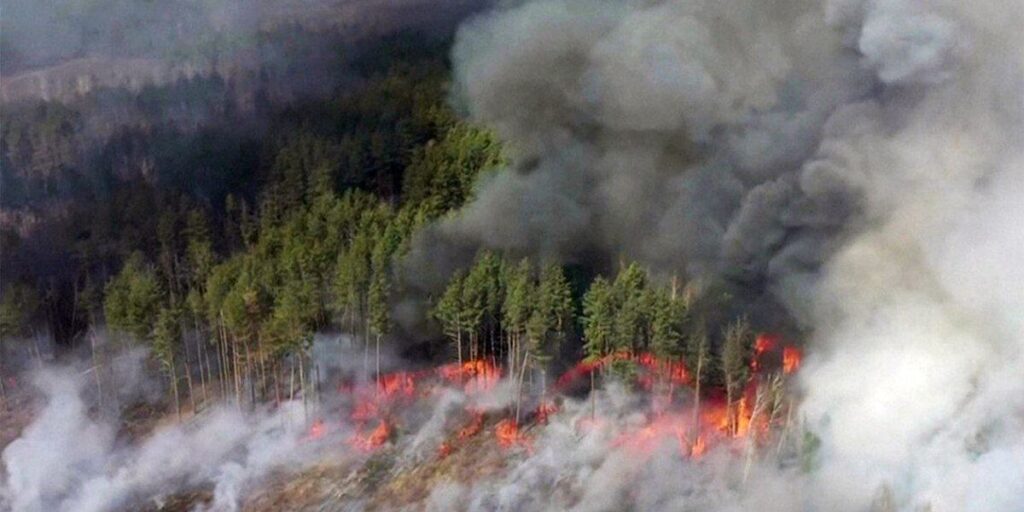 Гасити "чорнобильські ліси" возять позмінно рятувальників з Вінниччини