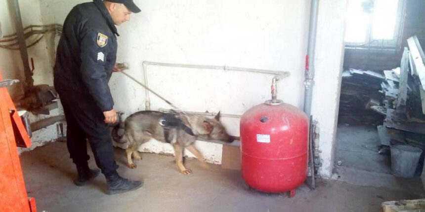 У жителя Тростянецького району службовий собака знайшов наркотики