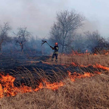 Вінницькі мисливці оголосили премію для тих, хто вкаже на паліїв трави та очерету