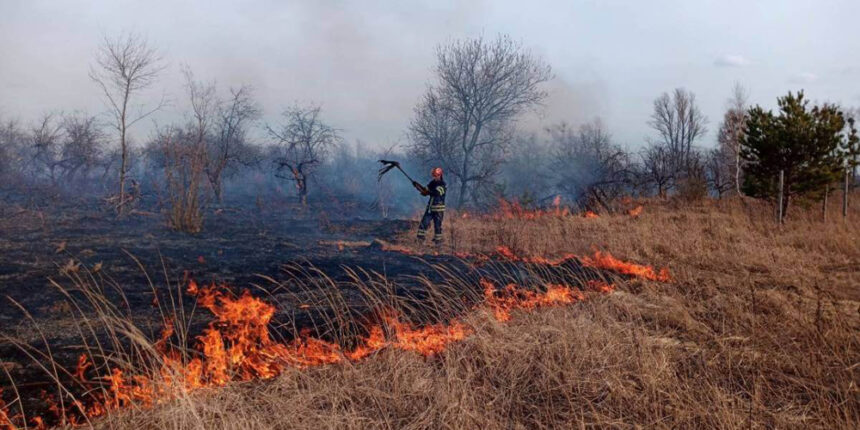 Вінницькі мисливці оголосили премію для тих, хто вкаже на паліїв трави та очерету