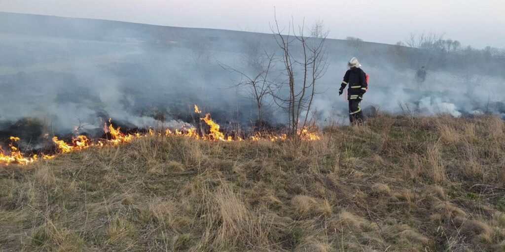 На Вінниччині за добу загасили 38 пожеж сухої рослинності