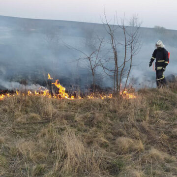 На Вінниччині за добу загасили 38 пожеж сухої рослинності