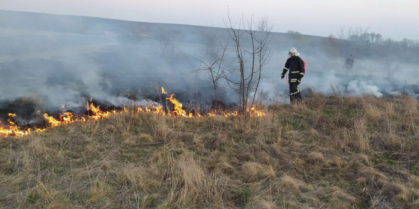 На Вінниччині за добу загасили 38 пожеж сухої рослинності