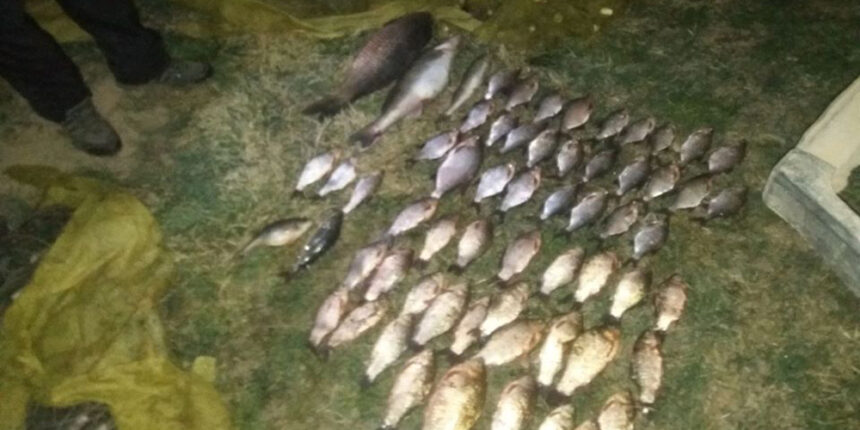 Громадянин наніс майже 7 000 гривень збитків незаконим виловом риби