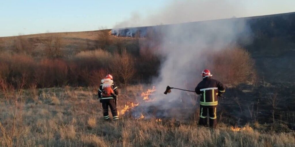 За добу на Вінниччині ліквідовано 11 пожеж сухостоїв