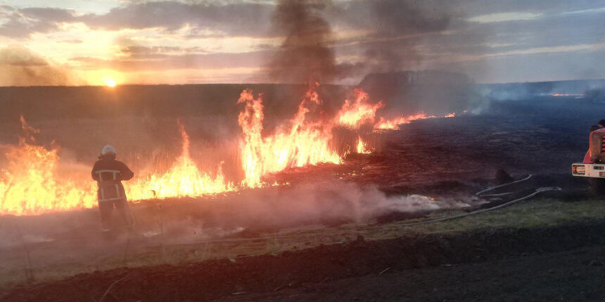 На Вінниччинині горять сухостої й трава - рятувальників викликали 37 разів на добу