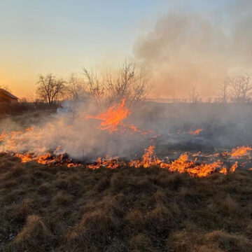 На Вінниччині не припиняються пожежі в екосистемах