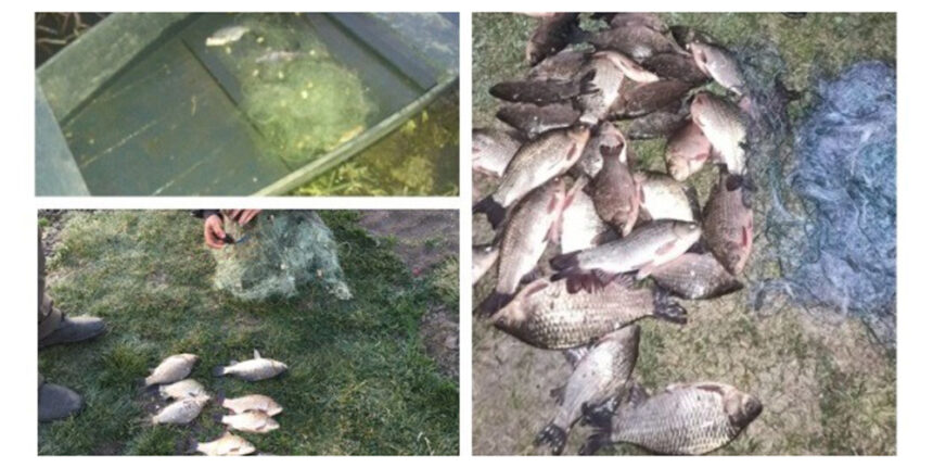 Вінниччина: протягом тижня 14 протоколів за незаконно добуту рибу