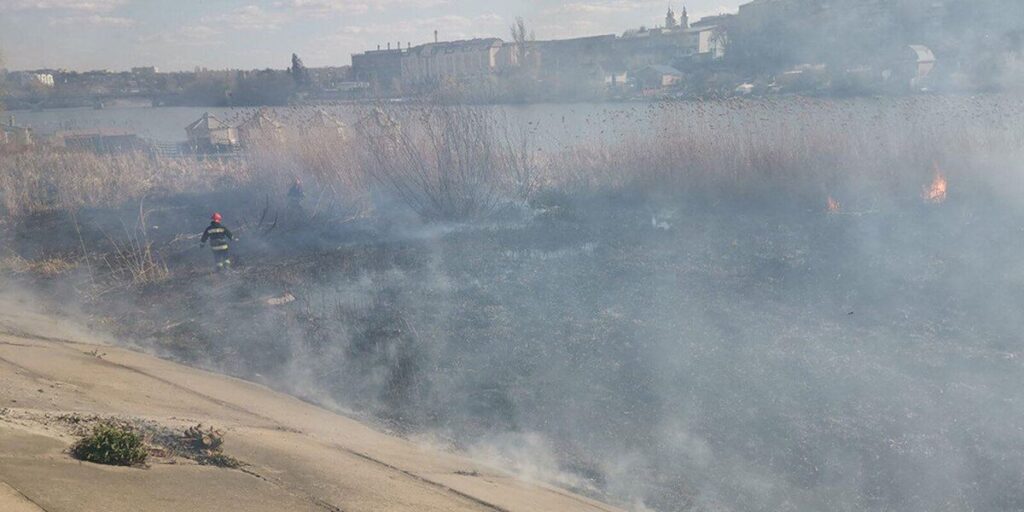 У Вінниці загорівся очерет на набережній