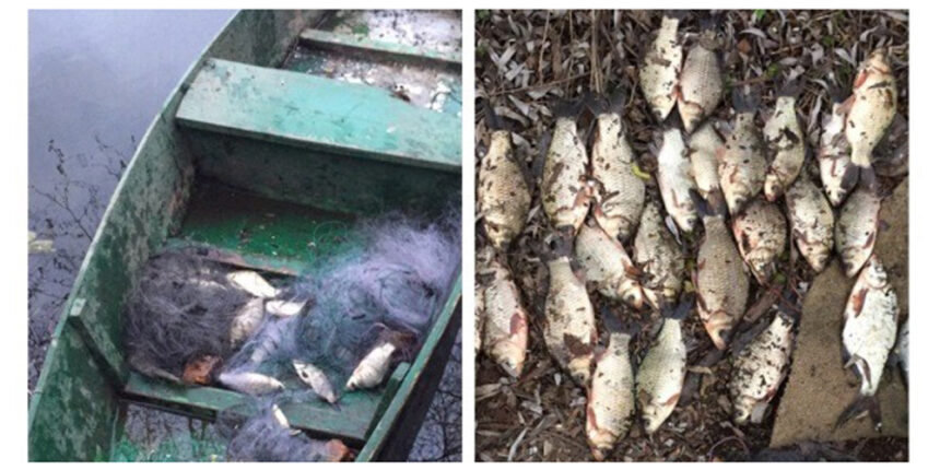 Три ляща, 26 карасиків та протокол про незаконий вилов впіймав рабалка у Вінниці