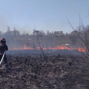 На Вінниччині за добу рятувальники погасили 9 пожеж сухостоїв