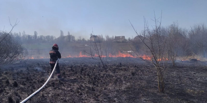 На Вінниччині за добу рятувальники погасили 9 пожеж сухостоїв