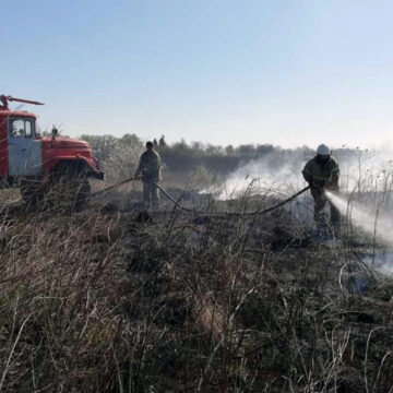 За добу на Вінниччині ліквідували 15 пожеж в екосистемах