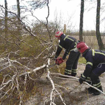 На Вінниччині за добу рятувальники двічі забирали з доріг повалені дерева