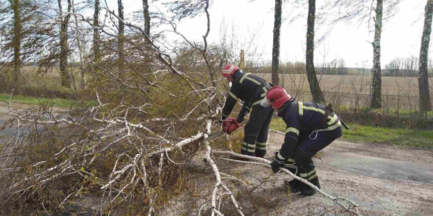 На Вінниччині за добу рятувальники двічі забирали з доріг повалені дерева