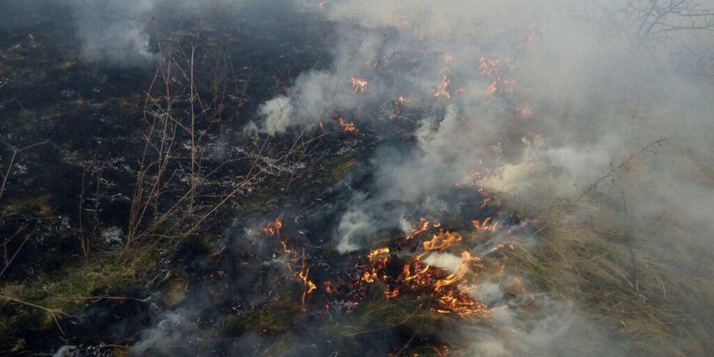На Вінниччині ліквідовано 7 пожеж сухої рослинності