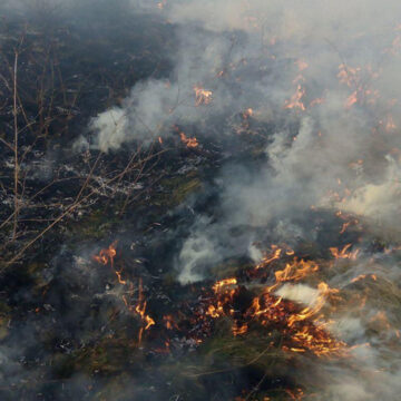 На Вінниччині ліквідовано 7 пожеж сухої рослинності