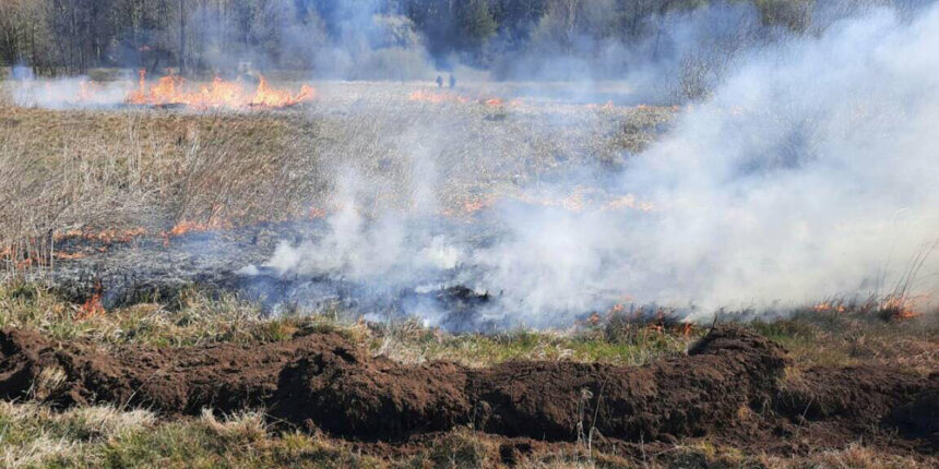 У Вінницькому районі вигоріла трава майже на трьох гектарах