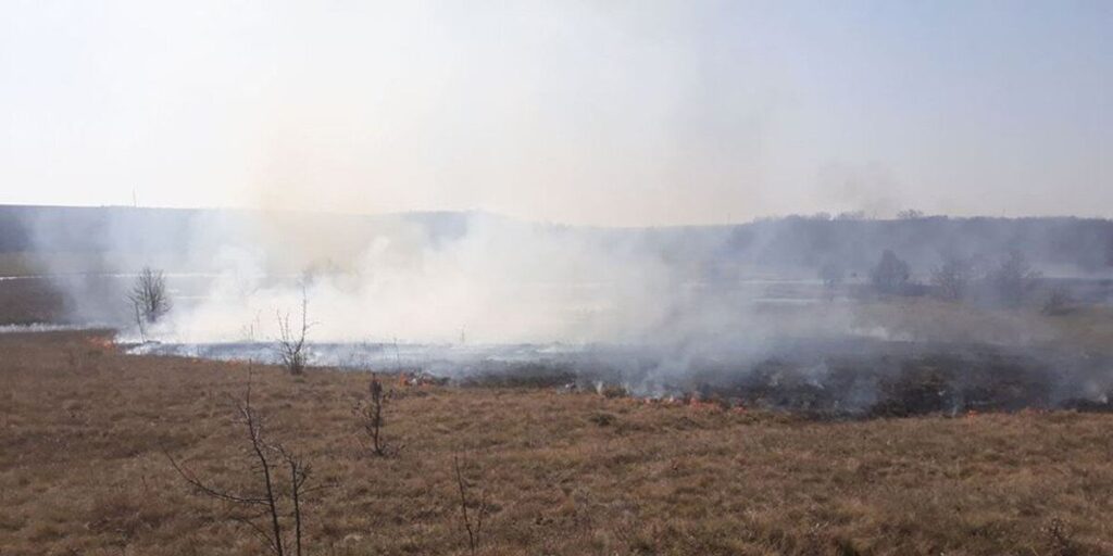На Вінниччині зафіксували випадки самовільного випалювання рослинності