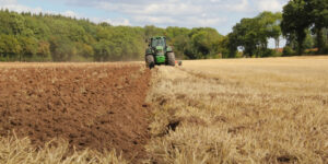 Вінницька область - лідер із аграрних розписок