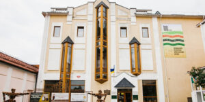 Вінницький краєзнавчий музей приєднався до всесвітнього челенджу