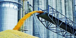 Вінницька промислова група розширить свій елеватор