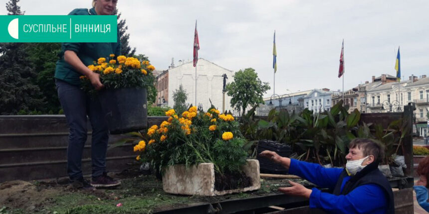 На вулицях та у паркових зонах Вінниці почали висаджувати квіти