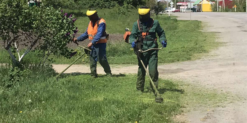 Вздовж траси «Вінниця - Київ» викошують траву