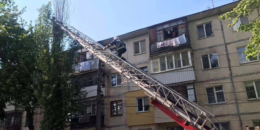 У Вінниці рятувальники зняли з дерева двох кошенят