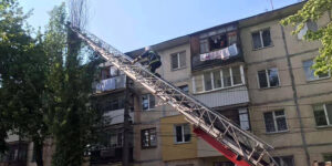 У Вінниці рятувальники зняли з дерева двох кошенят