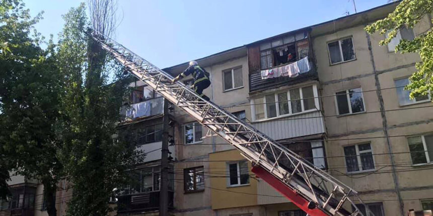 У Вінниці рятувальники зняли з дерева двох кошенят