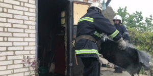 У Ладижині рятувальники ліквідовали пожежу в дачному будинку