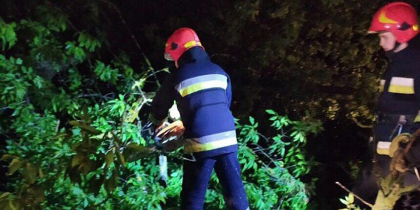 У Вінниці рятувальники прибрали повалене негодою дерево